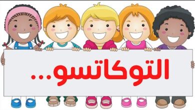 أهم المعلومات عن أنشطة التوكاتسو