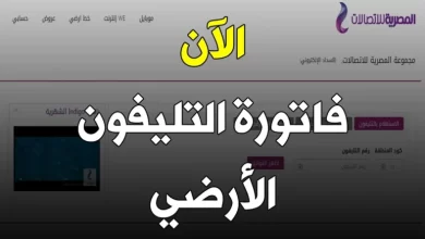 فاتورة التليفون الأرضي لشهر نوفمبر 2024